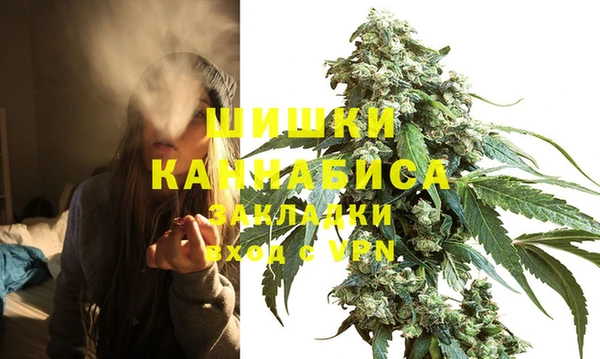 apvp Осинники